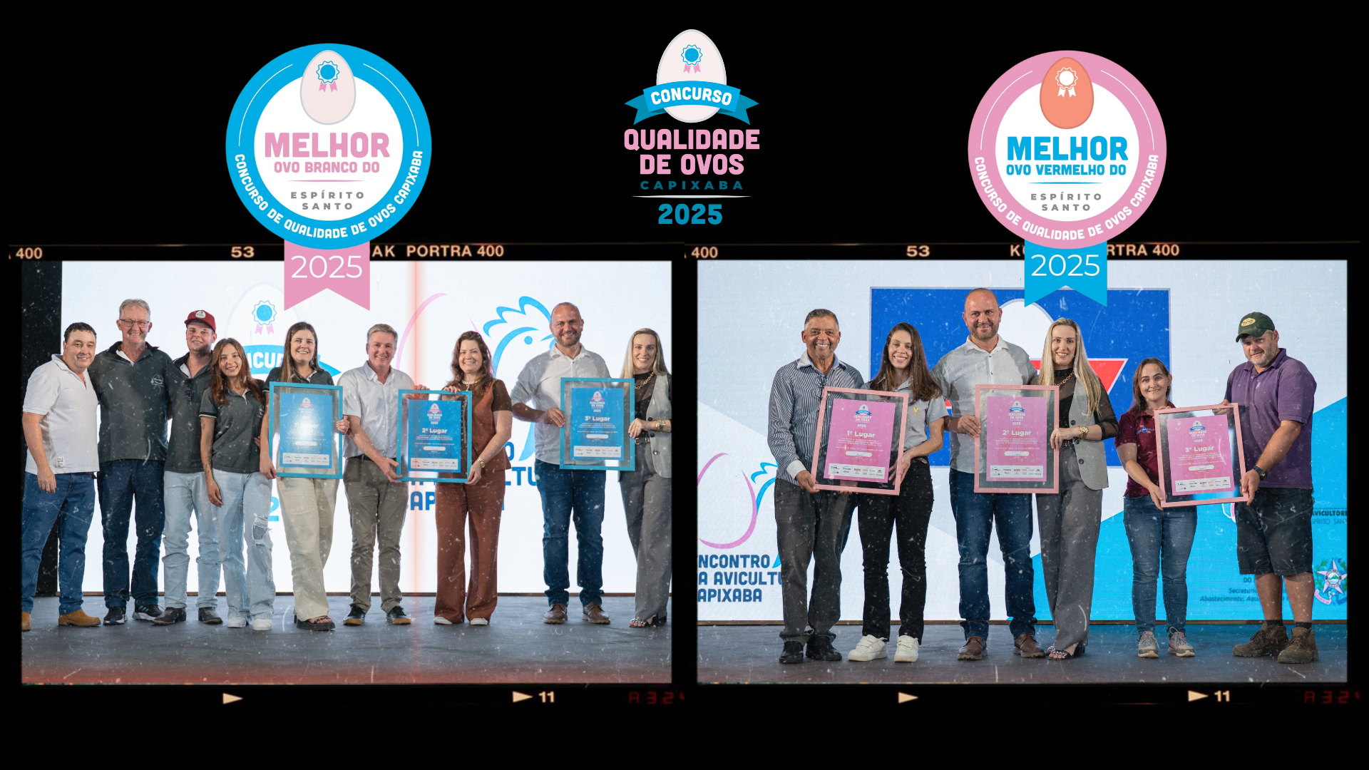 Concurso de Qualidade de Ovos Capixaba 2025 destaca excelência da produção e revela vencedores