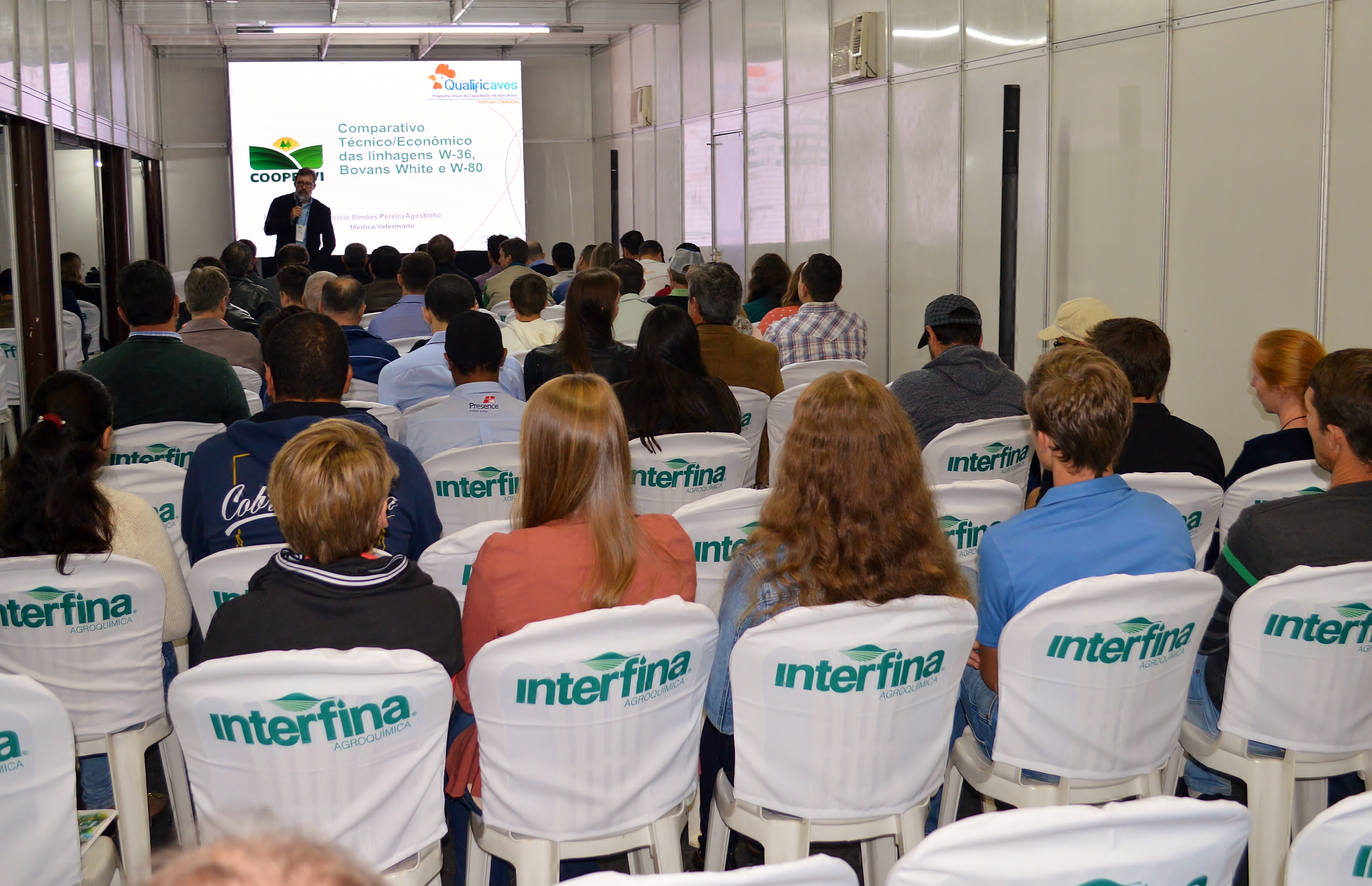 Qualificaves apresenta comparativo de linhagens na avicultura de postura