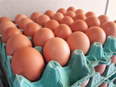 Ovos por assinatura:  Serviço traz comodidade para clientes, que vão de donas de casa a fisiculturistas