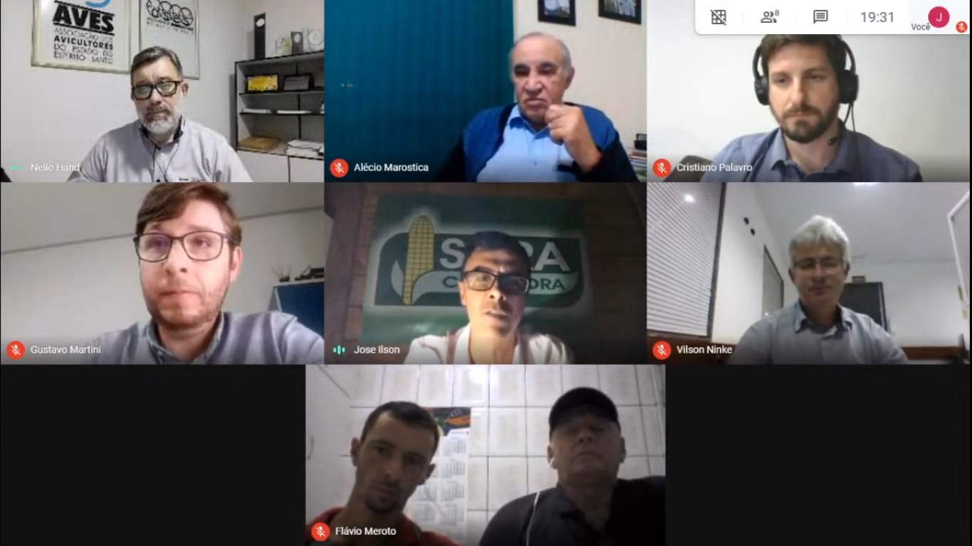 Ricardo Santin, Presidente do Conselho Diretor do Instituto Ovos Brasil, é entrevistado pelo Jornal da Pecuária