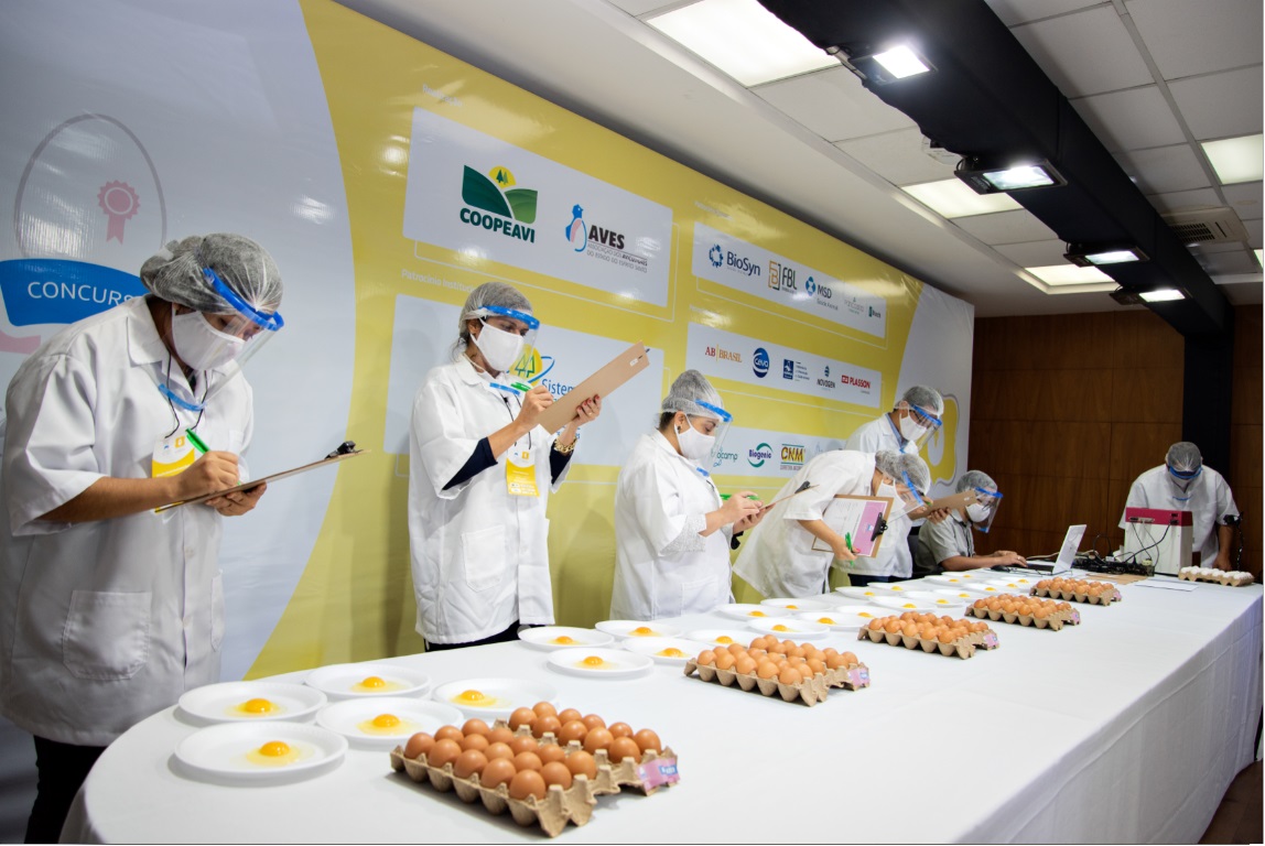 No Senac, nutricionista do Instituto Ovos Brasil dá aula sobre o ovo e sua importância para a saúde humana