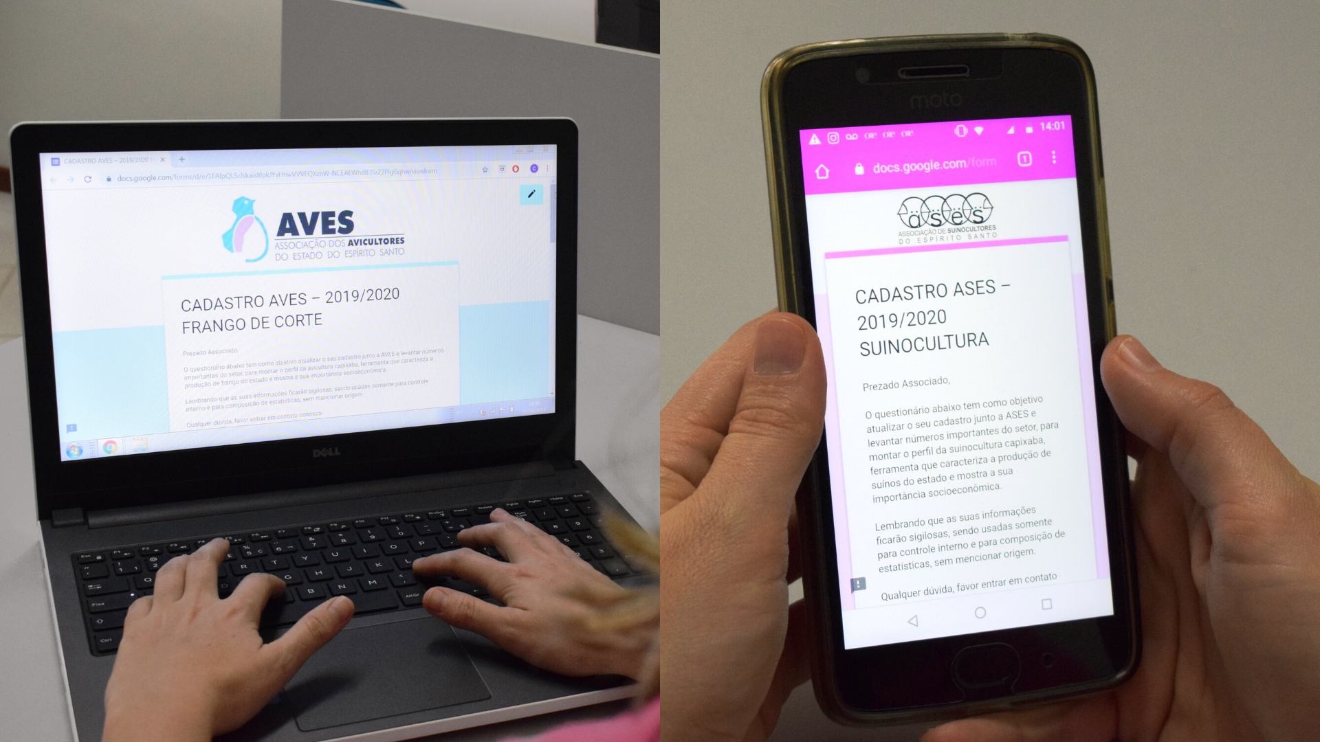 AVES e ASES iniciam atualização do cadastro de seus associados