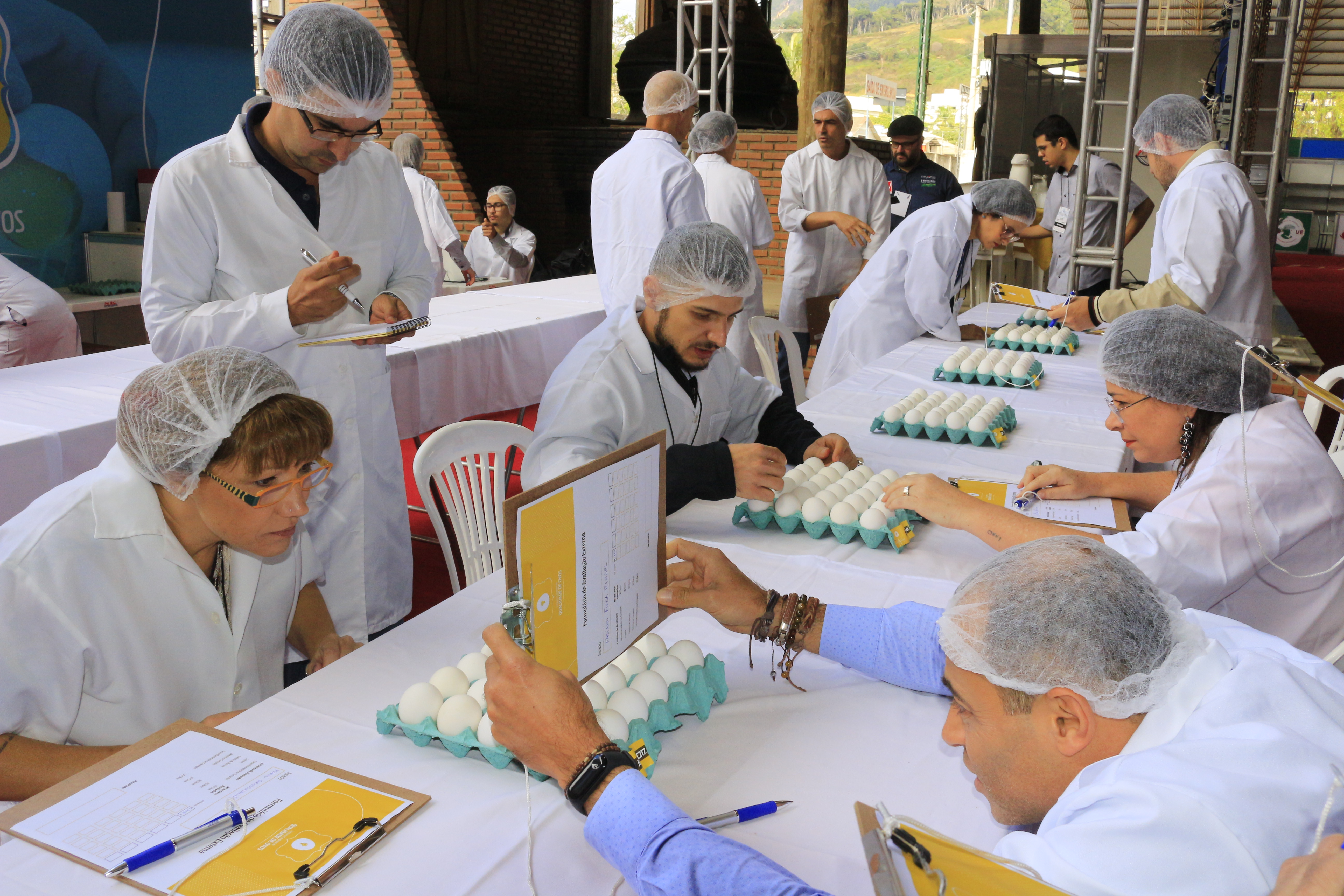 Com formato inédito, AVES e Coopeavi promovem concursos de qualidade de ovos no Dia Mundial do Ovo