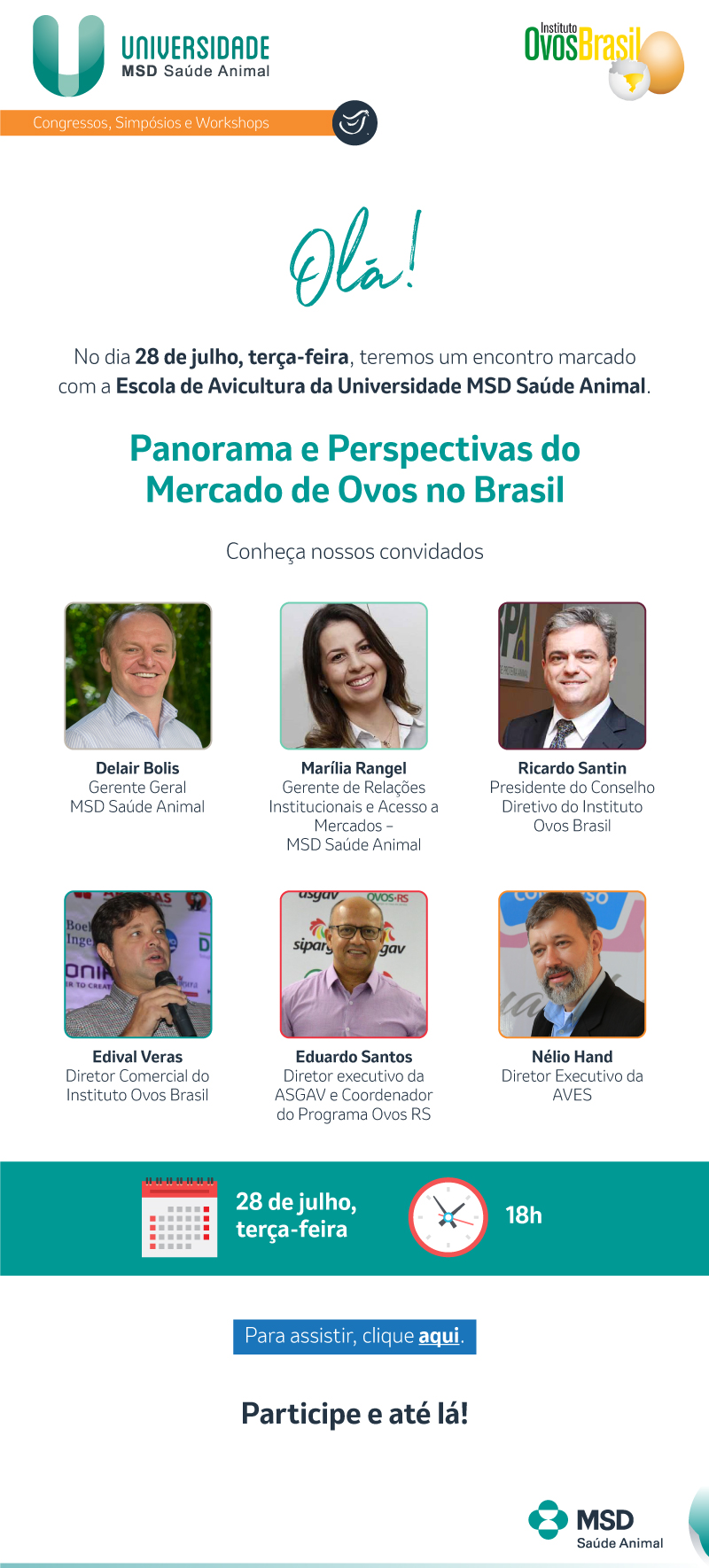 AVES marcará presença em evento que discutirá o mercado de ovos no Brasil