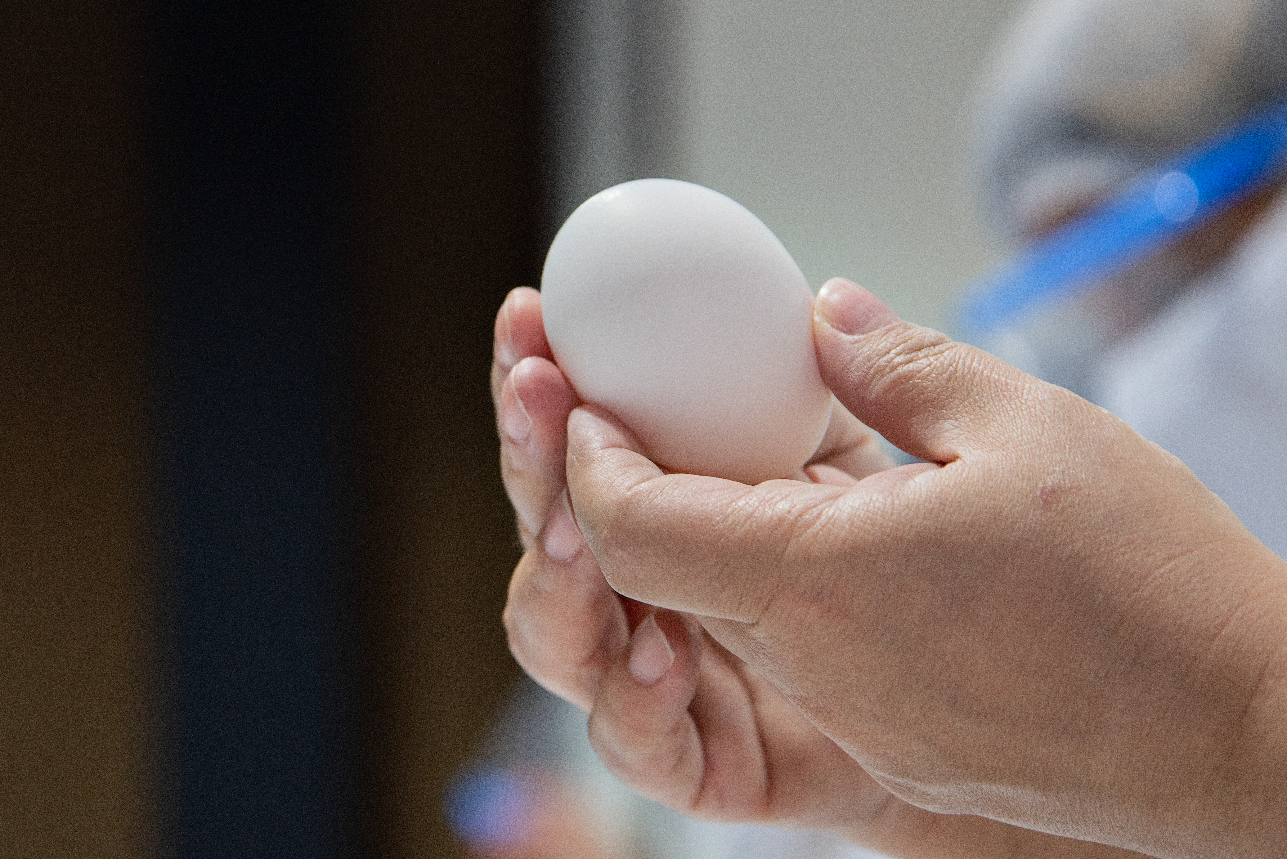 Produção de ovos capixaba: qualidade identificada para o consumidor