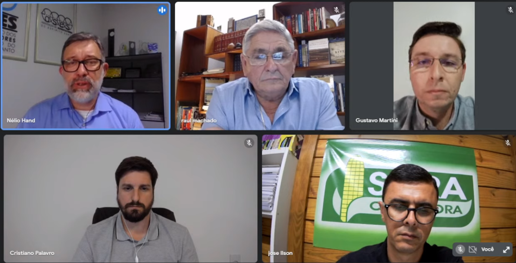 Cenário atual, mercado e as perspectivas para 2021 pautam webinar sobre milho promovido pela AVES e ASES