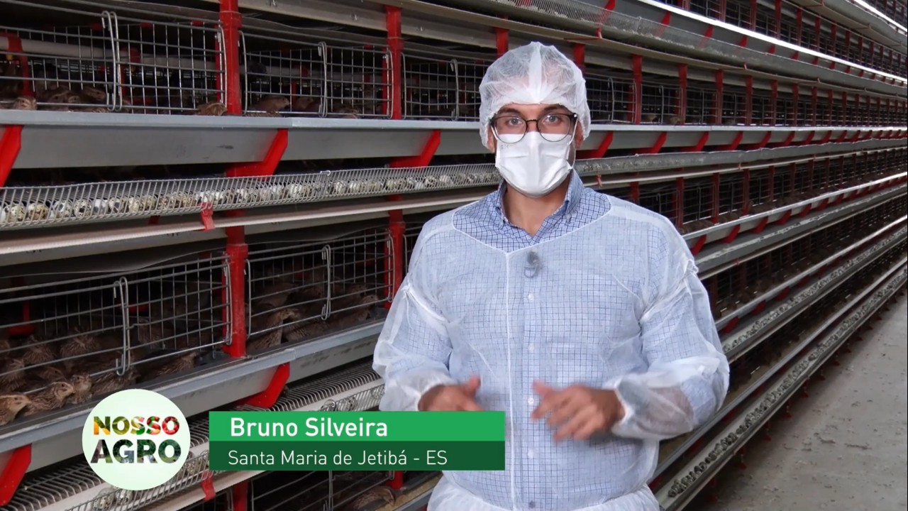Produção de ovos de Santa Maria de Jetibá é destaque do programa Nossa Agro da TV Band
