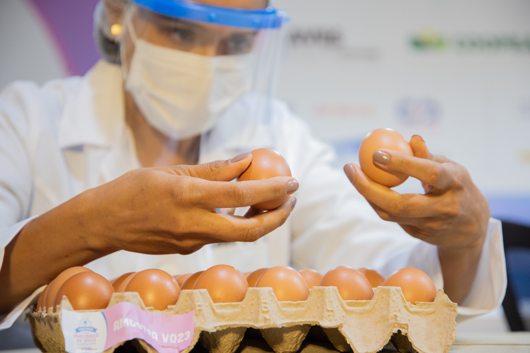 Aves e Coopeavi definem os últimos detalhes para o 6º Concurso de Qualidade de Ovos Capixaba