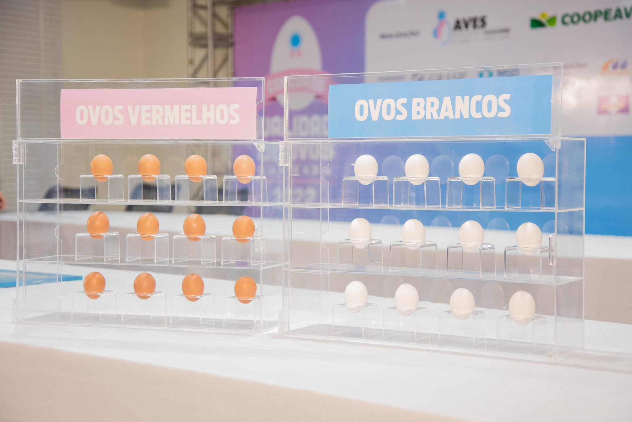 7º Concurso de Qualidade de Ovos Capixaba antecipa as comemorações do Dia Mundial do Ovo em outubro