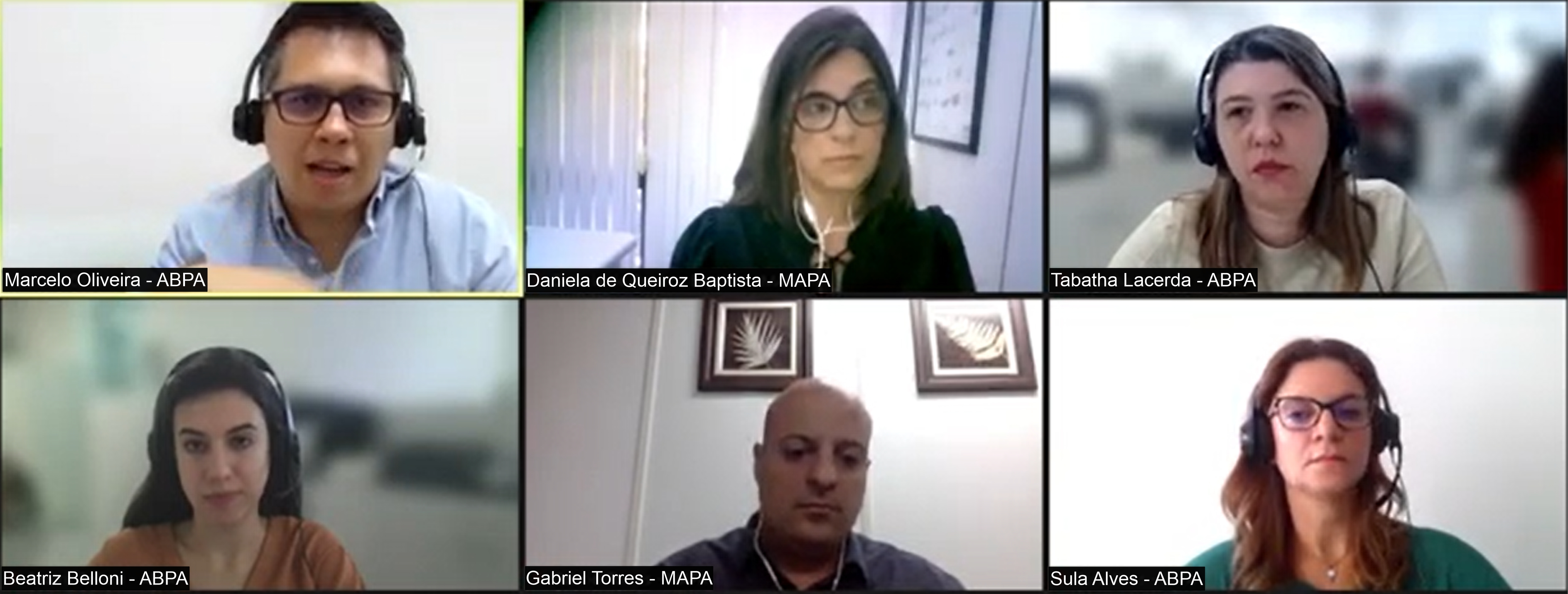 Academia ABPA apresenta o Plano de Contingência para Emergências Zoosanitárias com foco em influenza aviária
