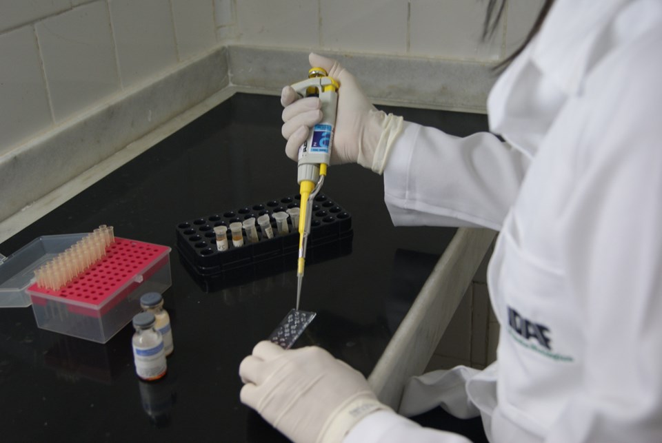 Parceria de sucesso: Instituições privadas e poder publico em prol da suinocultura capixaba