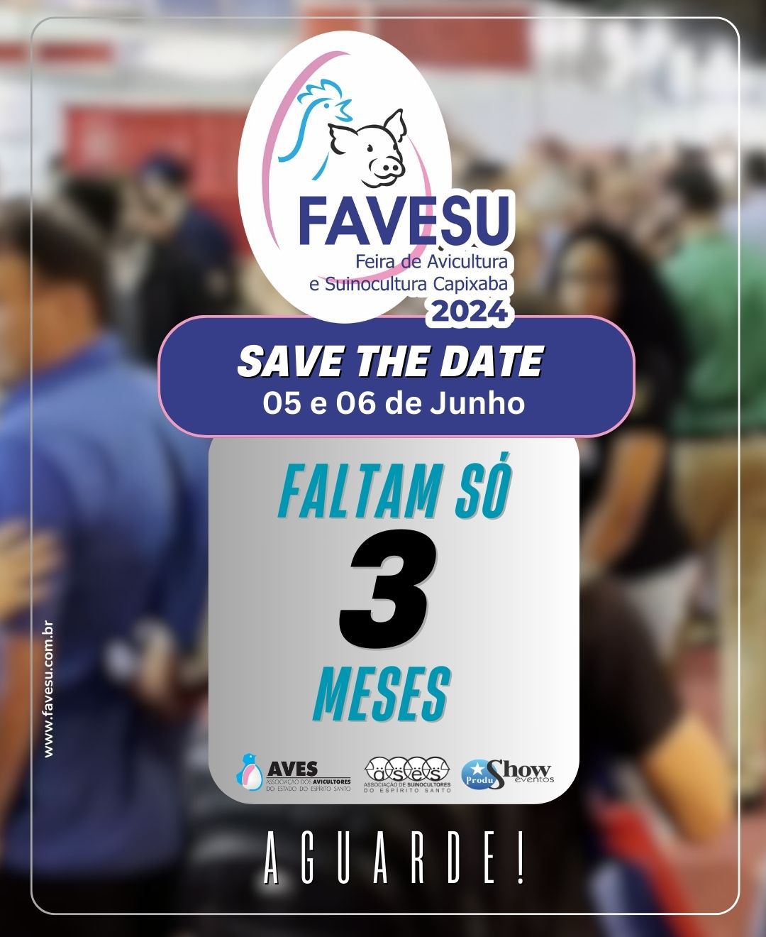 FAVESU 2024 - Faltam 3 meses para o maior evento da avicultura e suinocultura capixabas