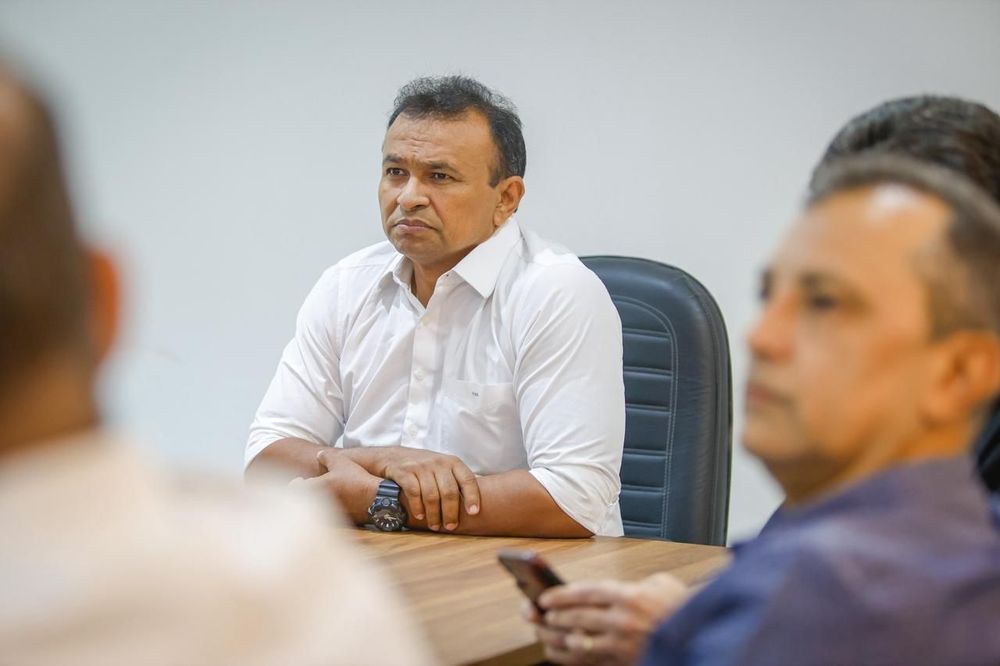 Piauí pode adotar vacinação contra a peste suína clássica