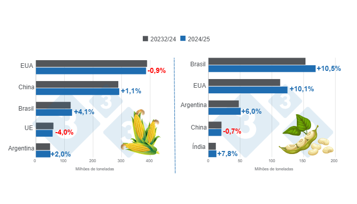Milho e soja: projeções para safra 2024/2025 USDA – outubro 2024