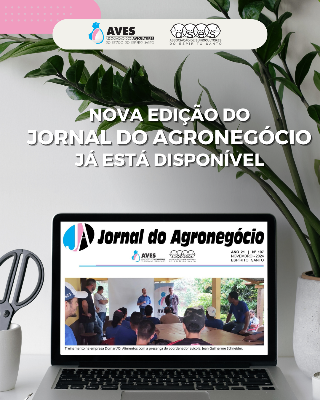 AVES e ASES publicam nova edição do Jornal do Agronegócio