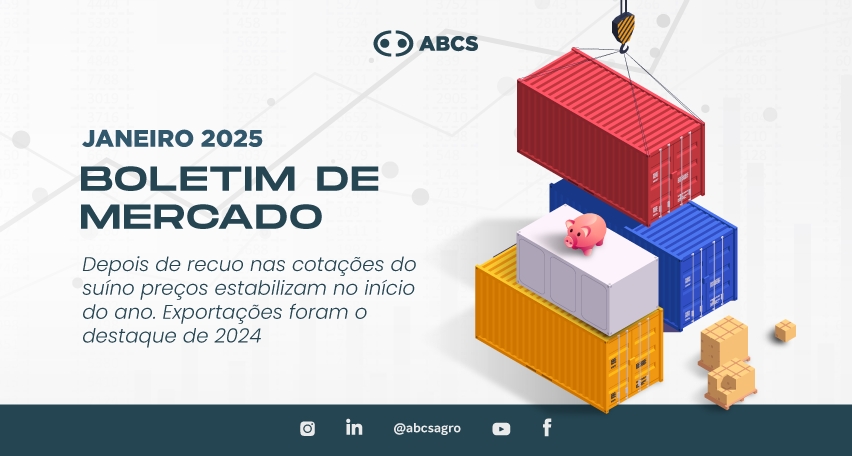 Depois de recuo nas cotações do suíno preços estabilizam no início do ano