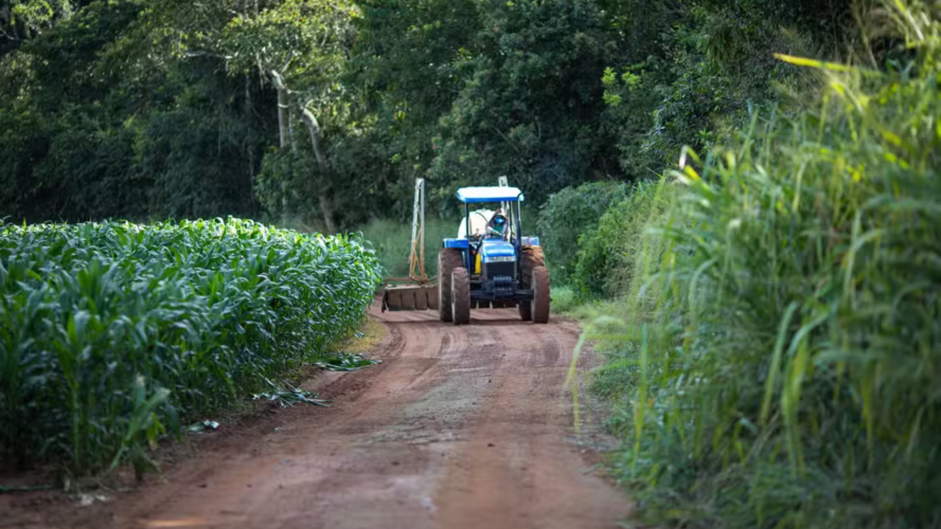 Plataforma para validar desconto no crédito rural entra no ar