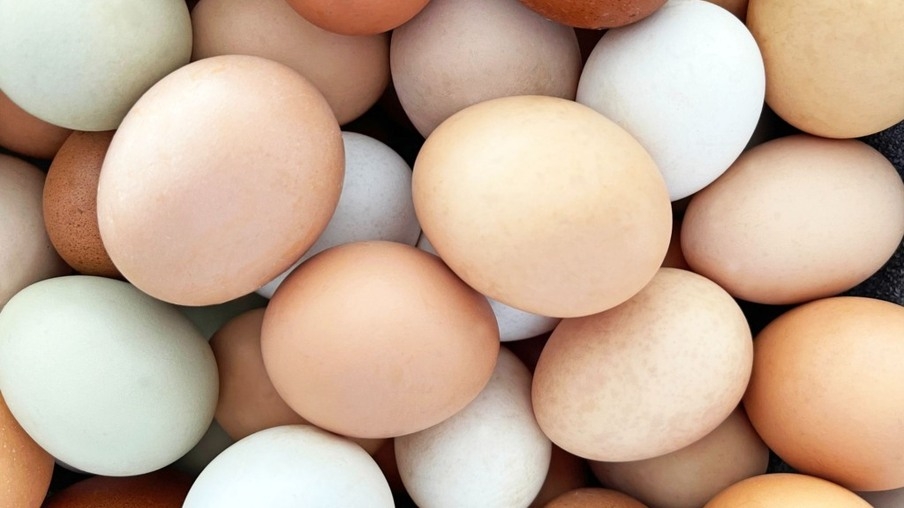 Produção de ovos cresce 15% no Espírito Santo em 2024