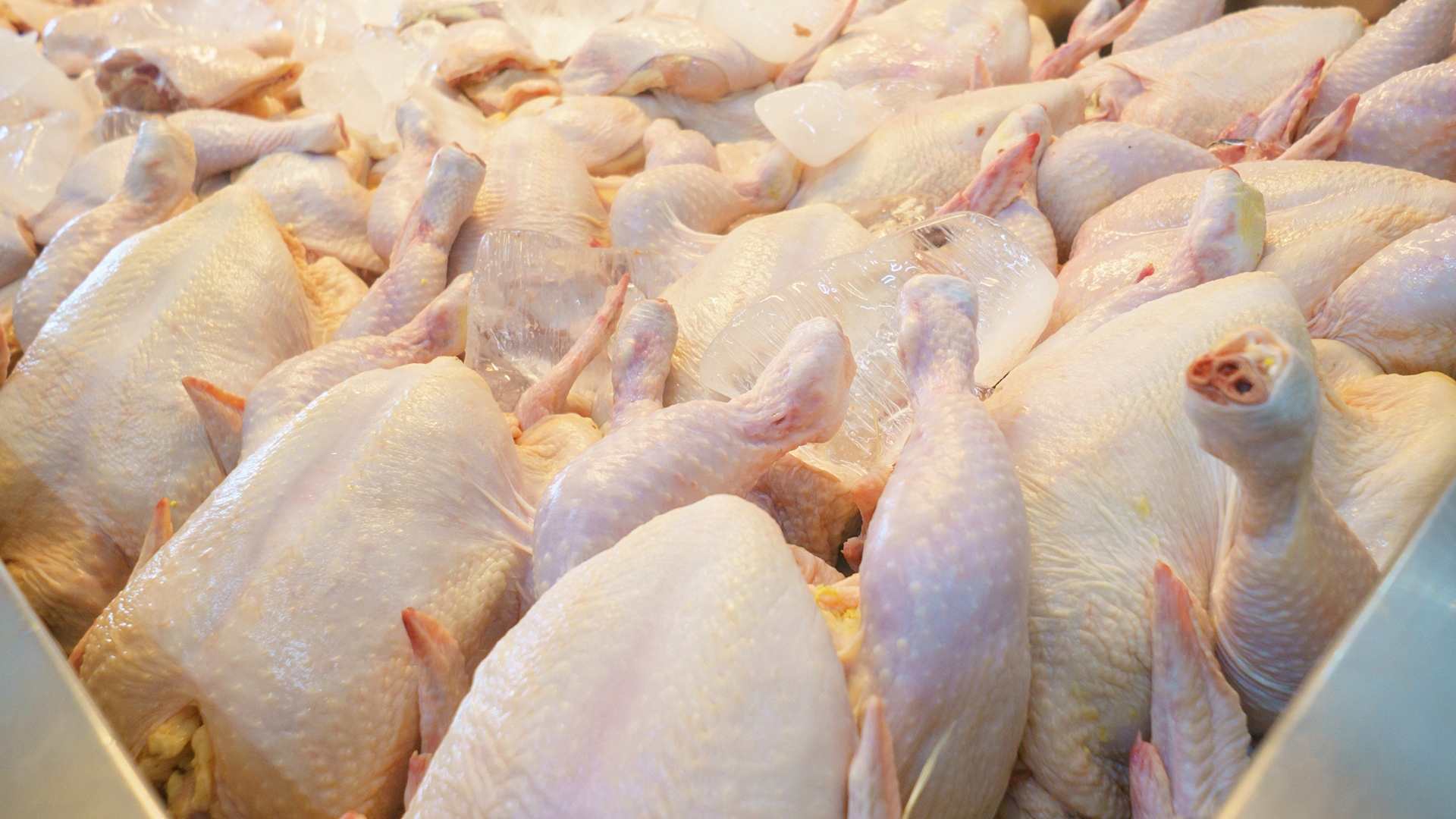 Embarques de carne de frango crescem 9,4% em janeiro de 2025