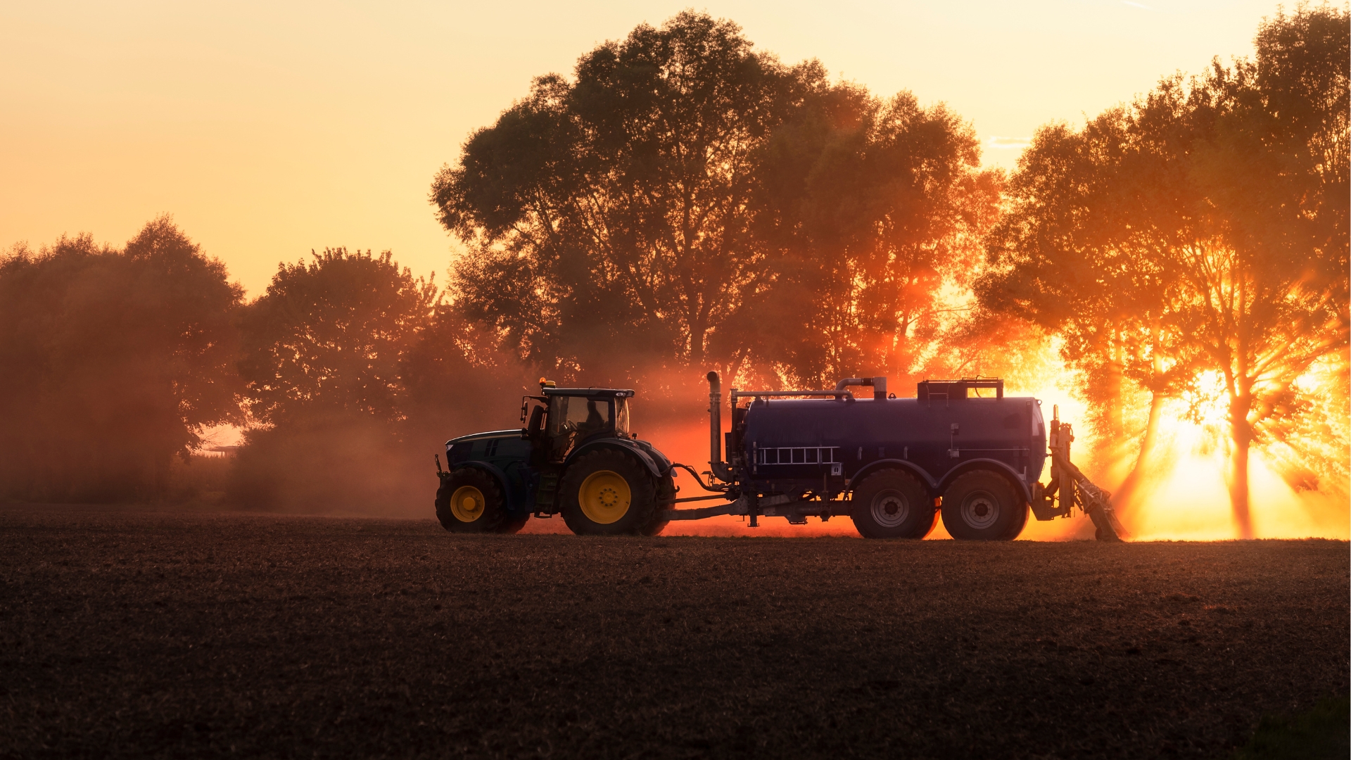 Espírito Santo continua sendo o único estado com crescimento em crédito rural no ano-safra 2024/2025