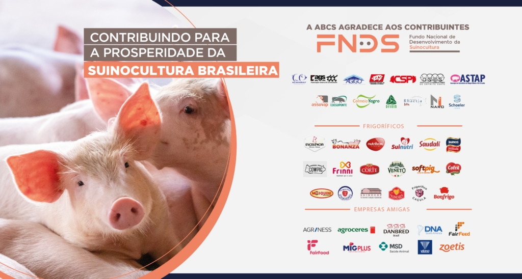 FNDS Collab reúne lideranças e parceiros para celebrar avanços e construir o futuro da suinocultura brasileira
