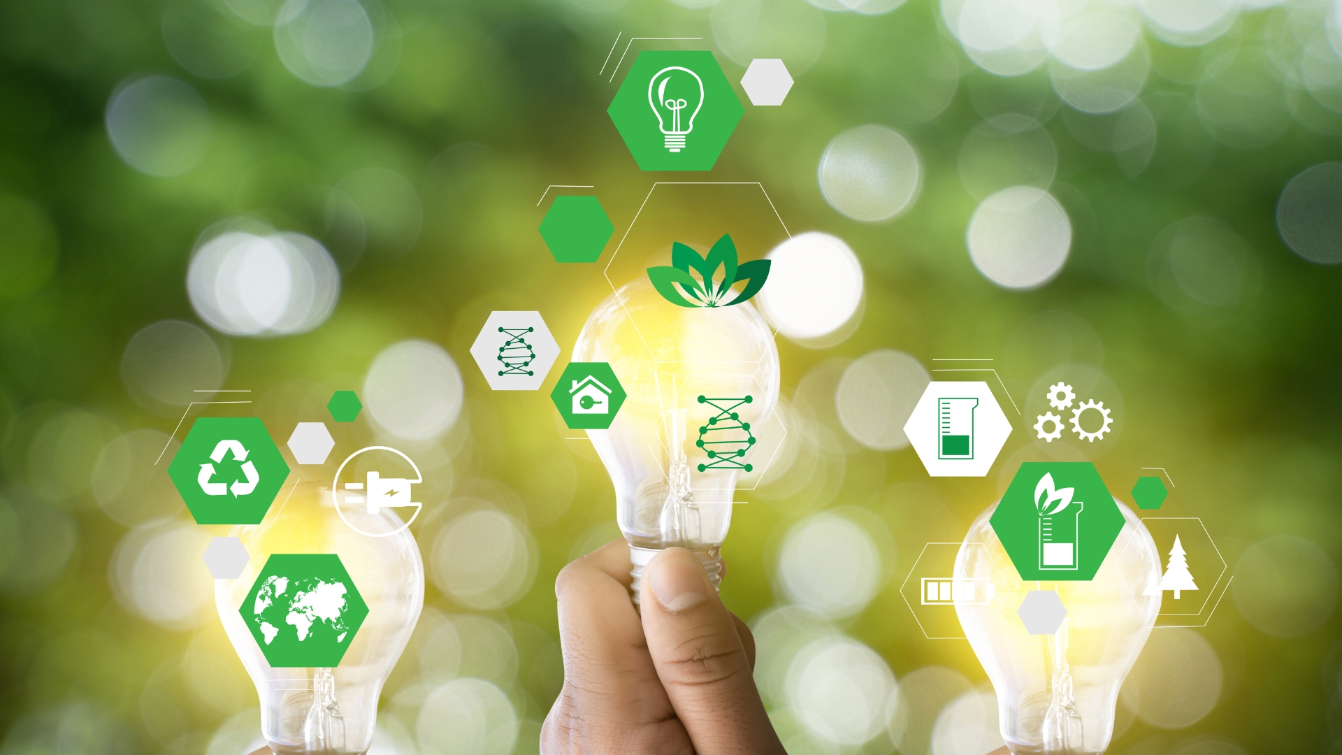 Sustentabilidade e gestão garantem maior resiliência ao agro