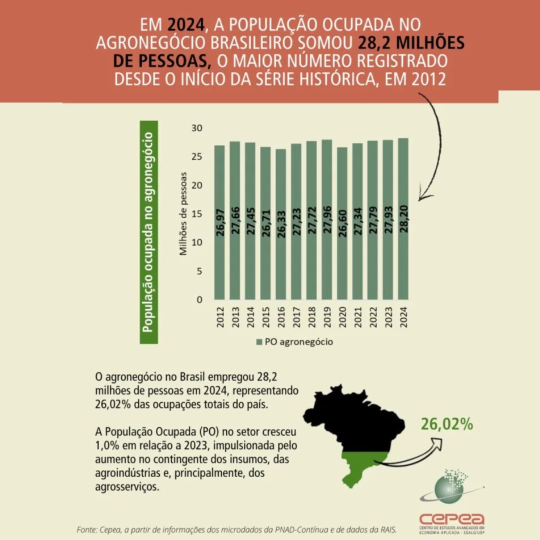 Agronegócio emprega 28,2 milhões de pessoas em 2024 e representa 26% das ocupações no Brasil