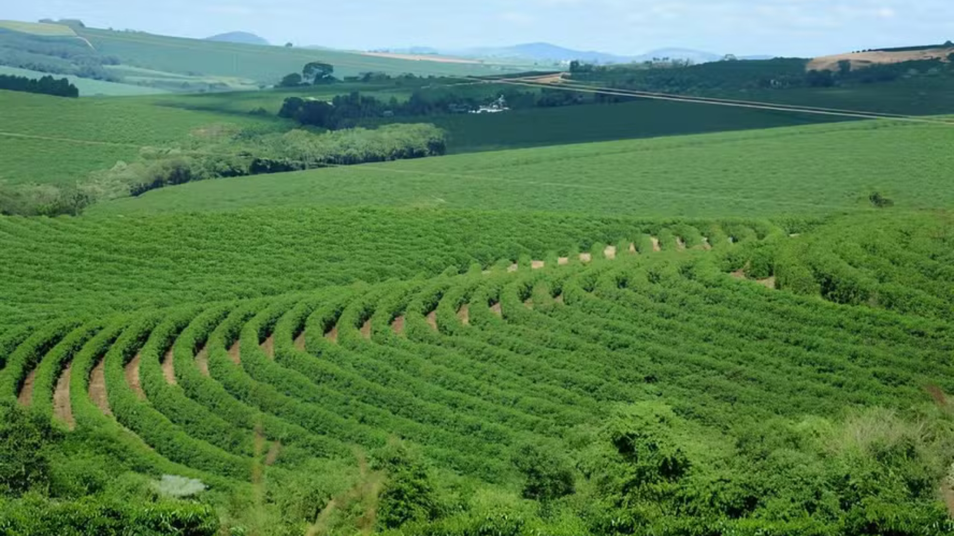 Ministério da Agricultura busca opções para ampliar Plano Safra