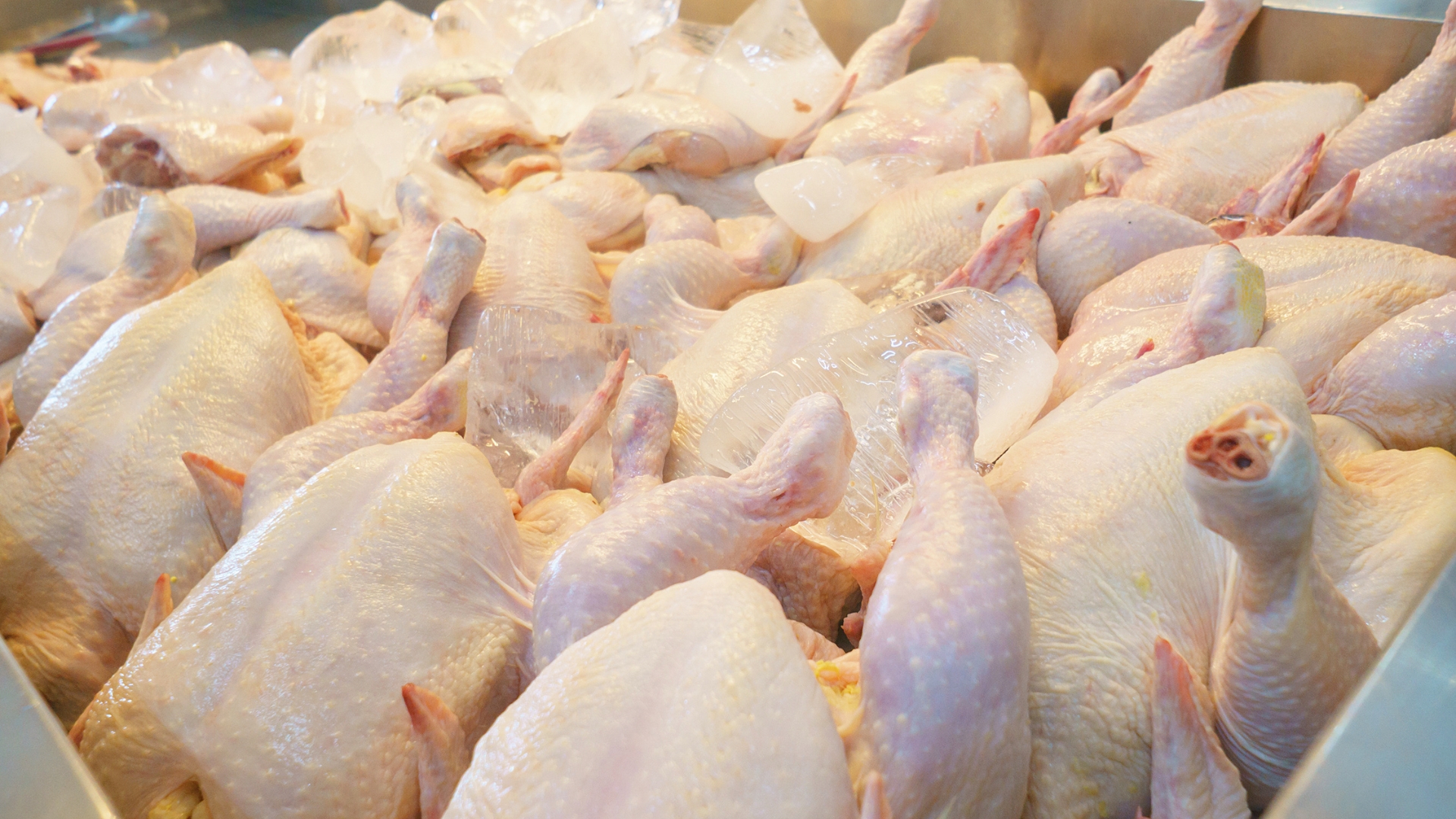 Exportações de carne de frango avançam 13,8% em março