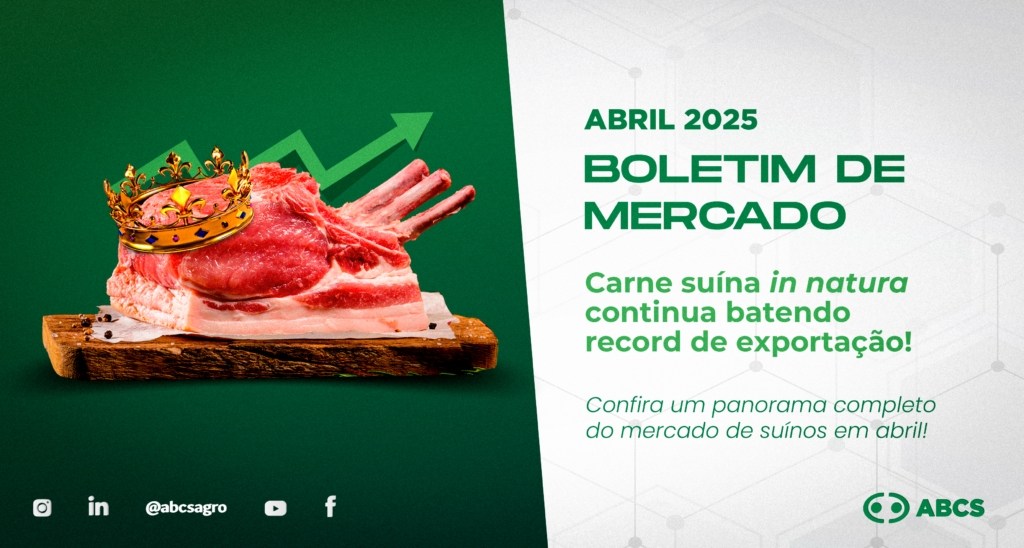 Carne suína in natura continua batendo recorde de exportação 