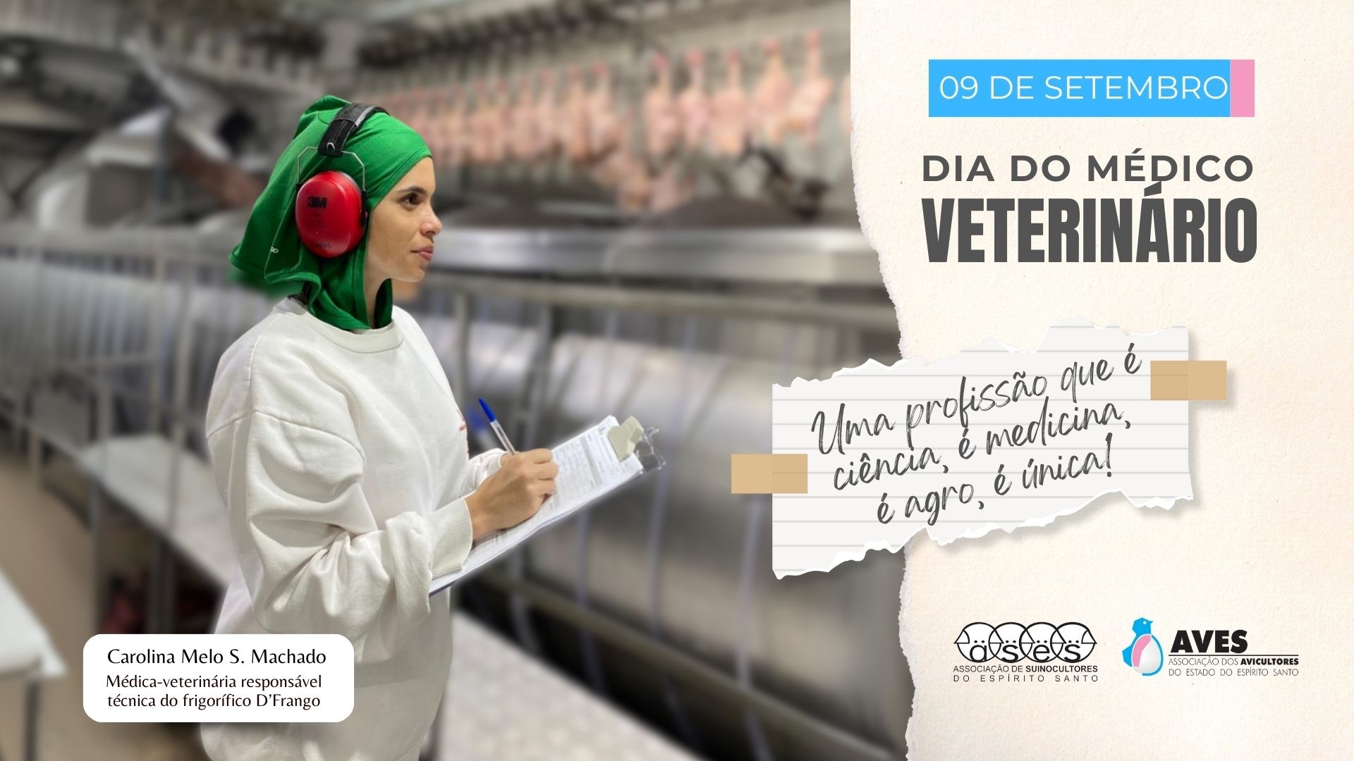 9 de setembro: Dia do Médico-Veterinário