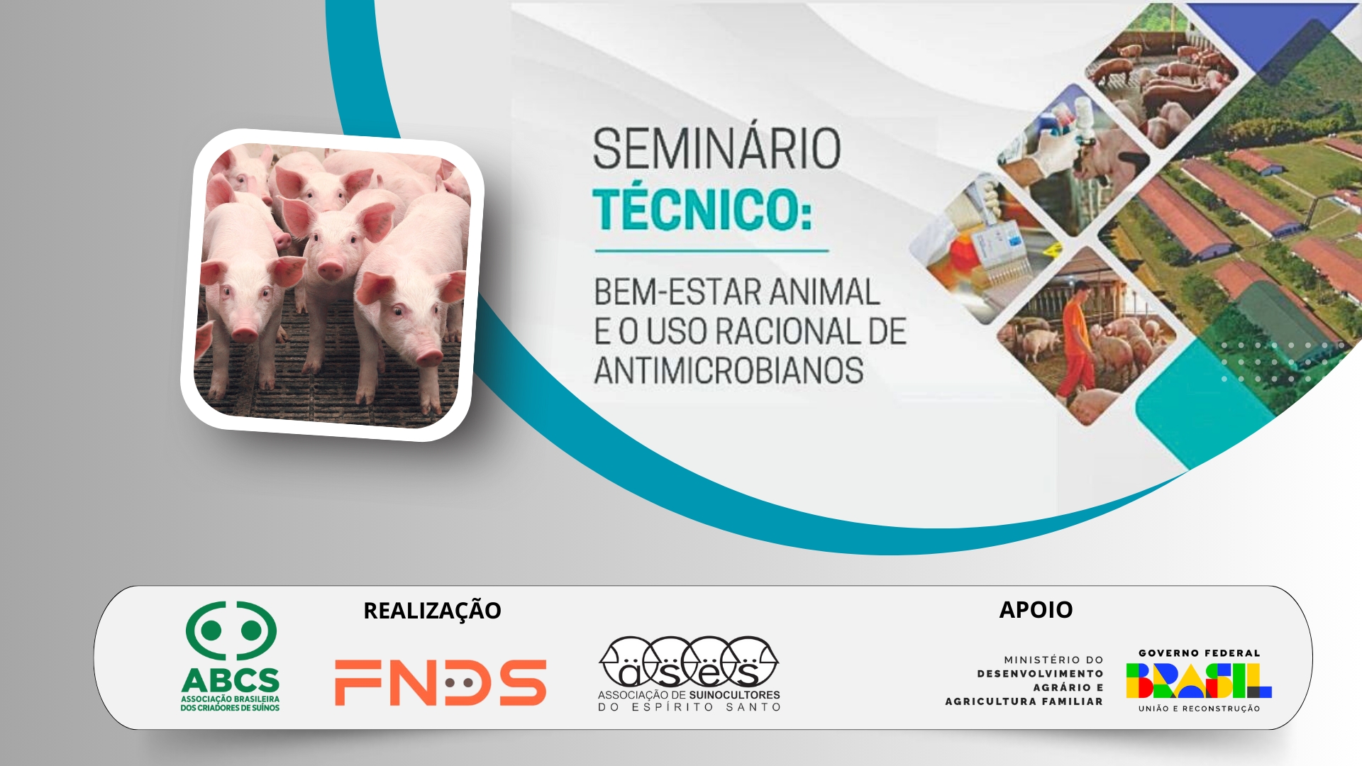 Seminário de Suinocultura reúne especialistas para debate técnico em Venda Nova do Imigrante