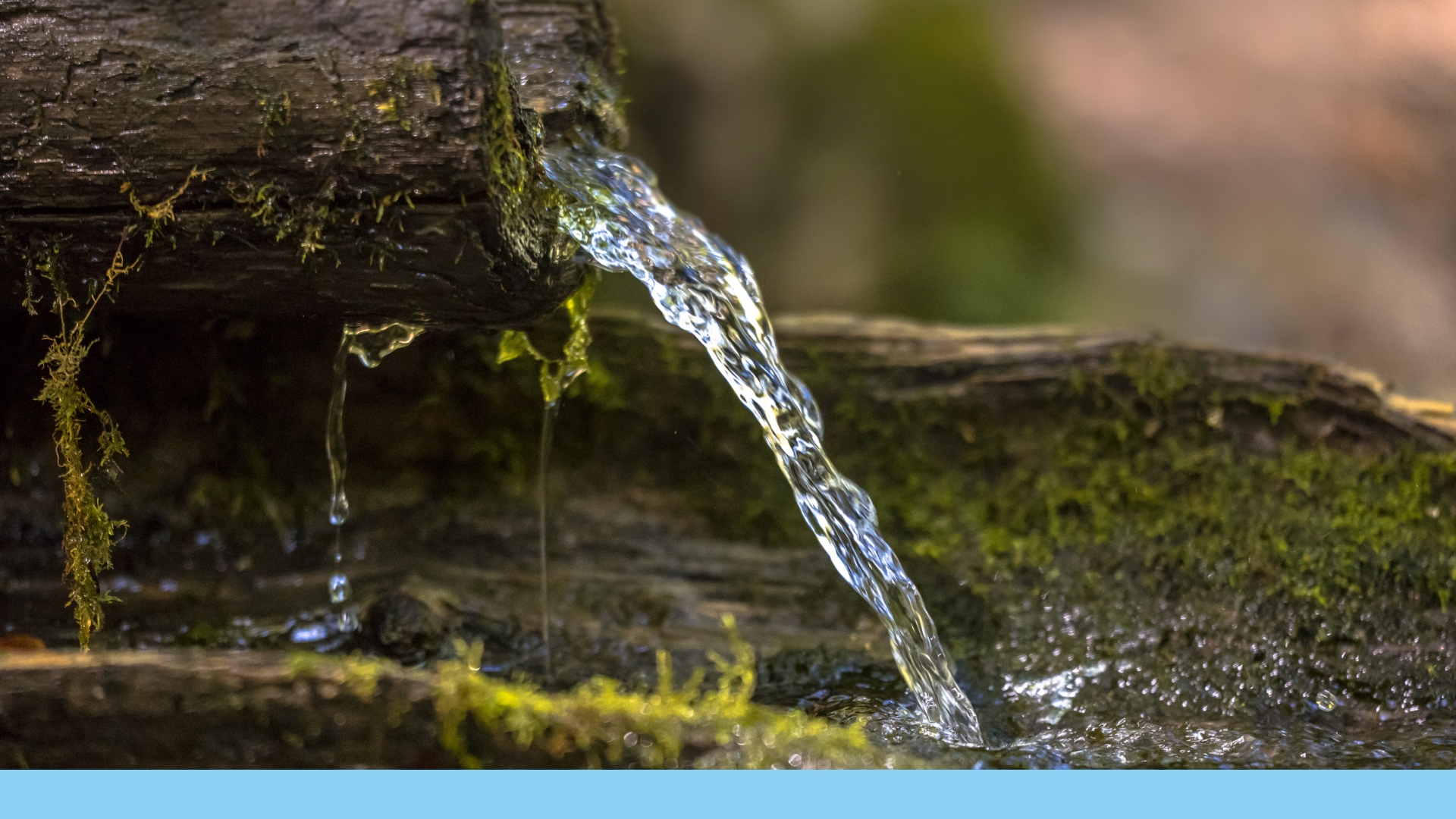AVES e ASES avaliam positivamente lei que isenta produtores rurais da cobrança pelo uso da água no Espírito Santo