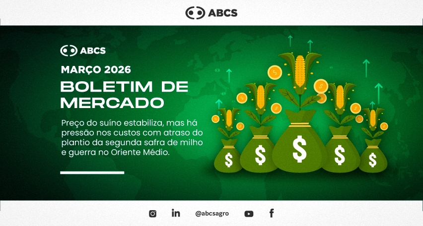 Preço do suíno estabiliza, mas há pressão nos custos com atraso do plantio da segunda safra de milho e guerra no Oriente Médio