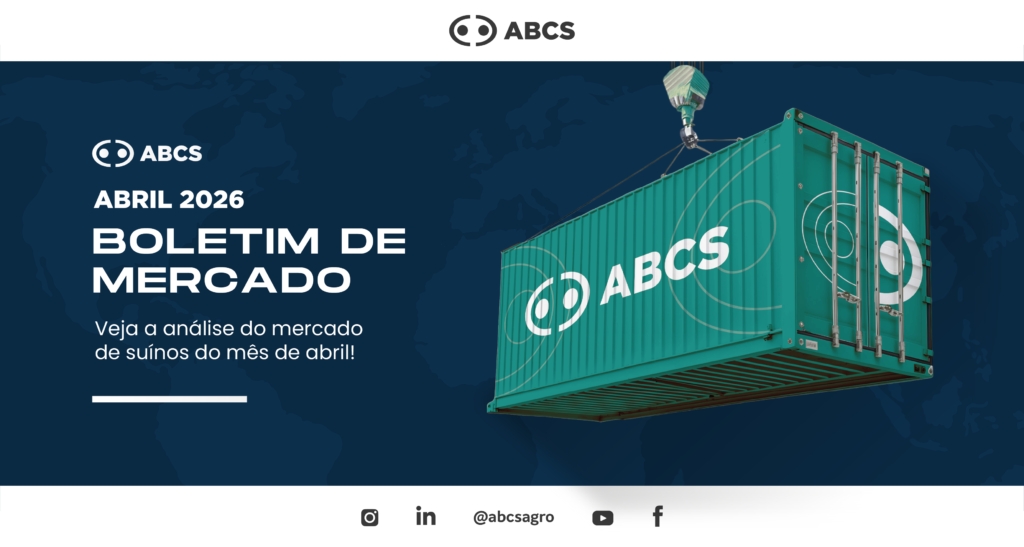 Exportação recorde não segura queda das cotações do suíno e relação de troca com insumos está desfavorável