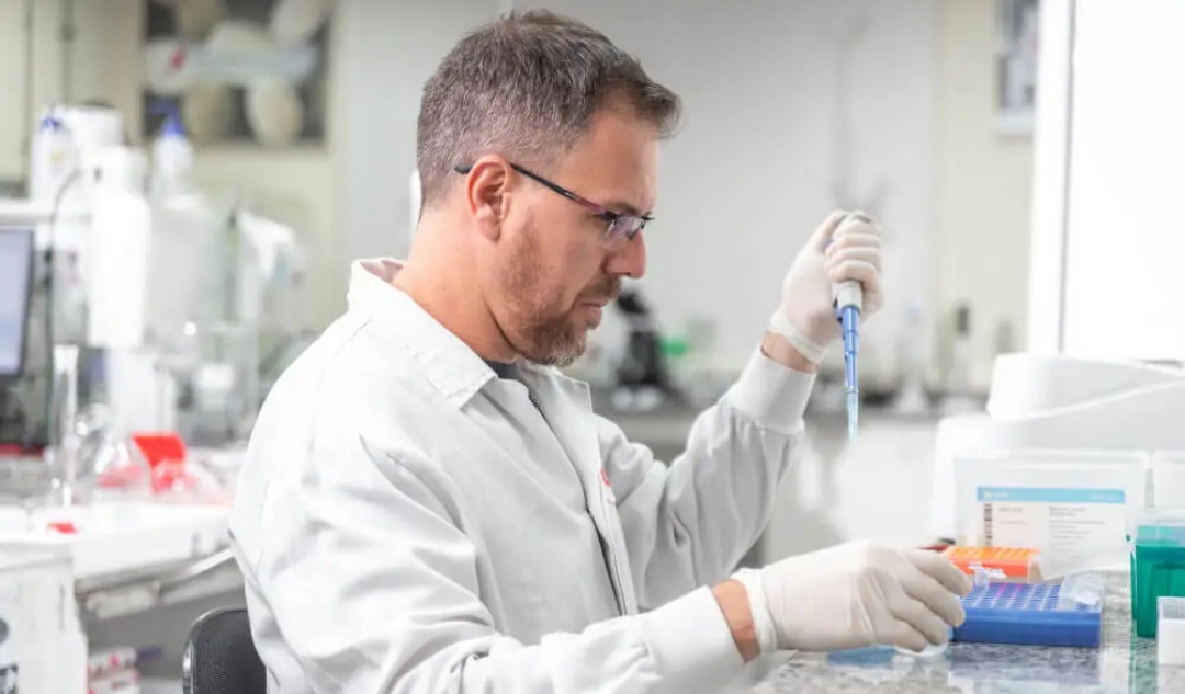 Mapa proíbe cinco antimicrobianos como melhoradores de desempenho na pecuária