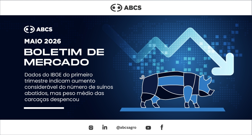 Dados do IBGE do primeiro trimestre, indicam aumento considerável do número de suínos abatidos, mas peso médio das carcaças despencou