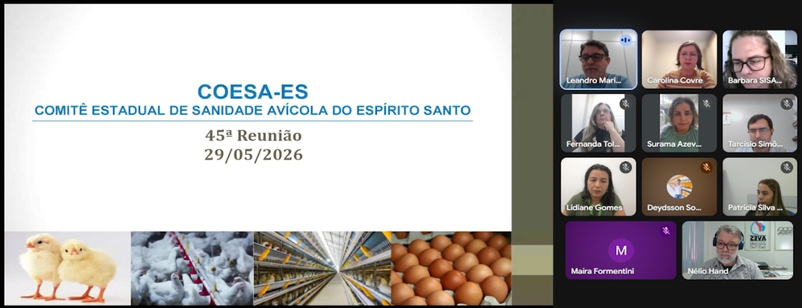 COESA debate biosseguridade, Influenza Aviária e avanços para a avicultura capixaba em reunião ordinária