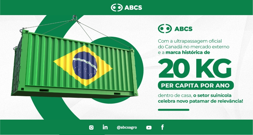 Brasil se consolida como potência global da suinocultura e se torna o 3º maior exportador mundial de carne suína 