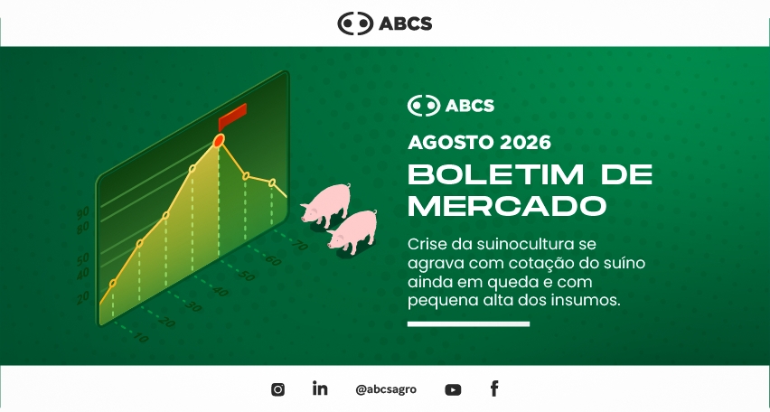 Crise da suinocultura se agrava com cotação do suíno ainda em queda e com pequena alta dos insumos