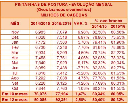 Alojamento de Pintainhas de Postura Comercial cresce 1,5% em 10 meses