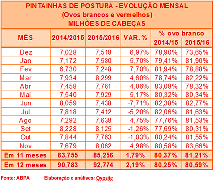 Crescimento no alojamento de Pintainhas de Postura Comercial deve ficar abaixo de 2% em 2016