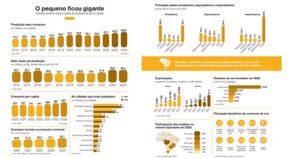 MAT&Eacute;RIA GLOBO RURAL 